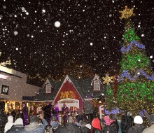 Get into the holiday spirit at the Cross County Shopping Center Christmas Tree Lighting.  Photo courtesy of the shopping center