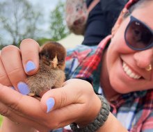 We're celebrating all the moms with fun activities for Mother's Day Weekend 2025 in Connecticut! Spring Fest at  Brown's Harvest. Photo courtesy of the event © 2025. All rights reserved. 