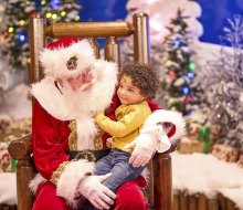 Connecticut is full of happiness, joy, and free Christmas and holiday activities, like Santa at Cabela's Wonderland. Photo courtesy of Bass pro Shops