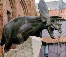 See dinosaurs and so much more at Yale's Peabody Museum of Natural History in New Haven. Photo by Tosh Chiang via Flickr 2.0