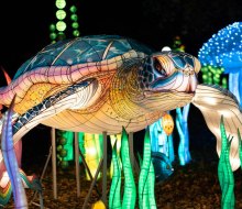 The DC Winter Lantern Festival dazzles through January 12. Photo courtesy of the festival