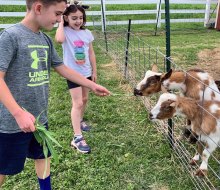 Meet lots of goats and cows at South Mountain Creamery. Photo by Jenifer Marino Walters