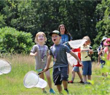 Catch butterflies and make friends with nature in Lincoln. Photo courtesy of Drumlin Farm Camp