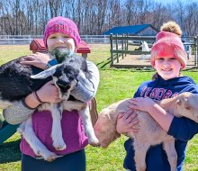 Spring festivals and fairs in Connecticut are here, with flowers, baby animals, and more! Baby Goat  Snuggle Sessions, photo courtesy of Syman Says Farm