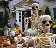 Spooky Halloween sighting in Georgetown!