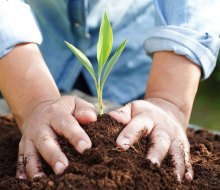 Find hands-on ways to care for the planet at Earth Day 2025 celebrations in Connecticut.