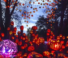 The amazing Jack-O-Lantern Spectacular is one of Greater Boston's top Halloween events every year. Photo by Anne McDonough for the Roger Williams Zoo