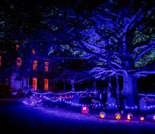 Get out for the chilly nights and spooky sights with the best Halloween events in Boston! Naumkeag Pumpkin Show event photo courtesy of The Trustees