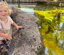 There are tide pools everywhere you look in San Diego! Photo by Kylie Williams