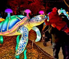 Come nose-to-nose with brilliantly lit sea turtles and more magical creatures during a visit to the NYC Winter Lantern Festival.