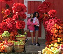 The grounds of the Queens County Farm Museum provide a backdrop for the stunning floral displays of The Fall Escape