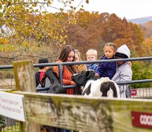 Kelder's Farm in Kerhonkson offers dozens of attractions for families to enjoy, plus plenty of pick-your-own produce. Photo courtesy of the farm