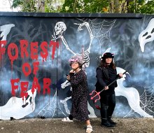 We've been keeping our ears open for the best Halloween events in Connecticut...like Forest of Fear! Photo by Ally Noel