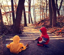 The Garvies Point Preserve is a lovely place to explore, boasting a natural shoreline, meadow, and woodland environment, plus a playground. Photo by Malena Hoefling