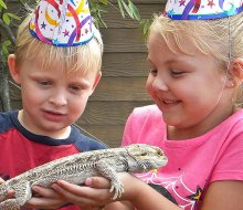 Celebrate your child's birthday party at Gatorland. Photo courtesy of Gatorland