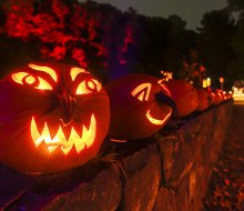 The Great Jack-o'-Lantern Blaze returns to Van Cortlandt Manor for its 18th season, debuting September 16. Photo by Tom Nycz/courtesy of the Historic Hudson Valley