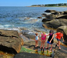 Cool tide pools at Halibut Point State Park. Photo by August Muench/Flickr/CC BY 2.0