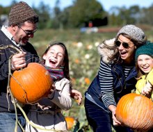Head to Harbes Family Farm for a day of pumpkin picking and fall fun.  