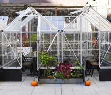 Harper's Garden in Center City offers 