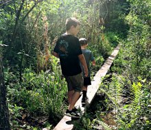 Challenge yourself on the walking beams at Hidden Waters Preserve.
