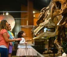 Visit the Hall of Paleontology at the Museum of Natural Science. Photo courtesy of Visit Sugar Land