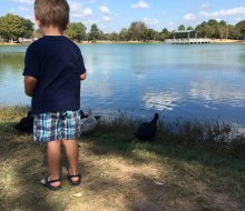 Free activities like feeding the ducks at Mary Jo Peckham Park are simple and still great fun for kids. Photo by Rachael Cherry
