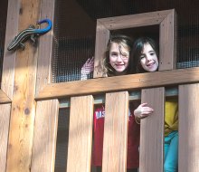 The Houston Family Play Tree House at Lincoln Park Zoo. Photo by Lauren LaRoche