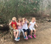 Explore your environment at Tyke Hikes/Photo courtesy of Houston Arboretum & Nature Center