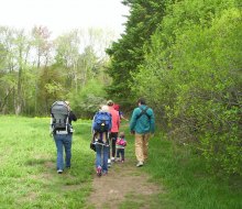 Hiking along the Ipswich River is a favorite family activity. Photo courtesy of Mass Audubon Ipswich River Wildlife Sanctuary