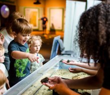 The touch tank at the Mississippi Museum of Natural Science delights kids. Photo courtesy of the museum
