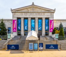 John G Shedd Aquarium photo by Ajay Suresh via Flickr (CC BY-NC-ND 2.0)