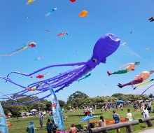  Check out the Newport Kite Festival or go kite-flying on your own at Brenton Park.