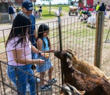 See animals up close at some of these farms near Houston. Photo courtesy of Dewberry Farm