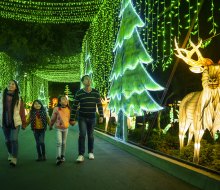 LA Zoo Lights: Animals Aglow photo by Jamie Pham