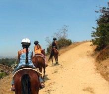 Go horseback riding in the hills above Los Angeles. Photo by Eden Janine & Jim via Flickr 2.0