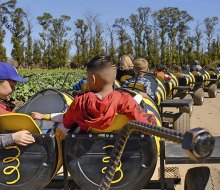 Underwood Farms buzzes with entertainment for all ages. Photo courtesy of the farm.