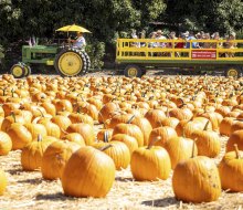 Photo courtesy of Underwood Family Farms