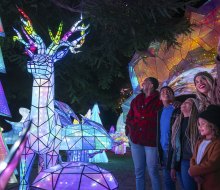 LA Zoo Lights: Animals Aglow makes a festive family evening. Photo by Jamie Pham