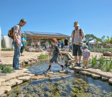 The 4.5-acre Luci and Ian Family Garden at the Lady Bird Johnson Wildflower Center was developed for families. Photo by Brian Berzer