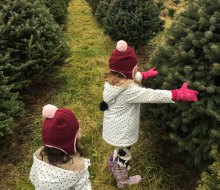 Find the perfect Christmas tree at one of these tree farms near Chicago. Photo courtesy of the author