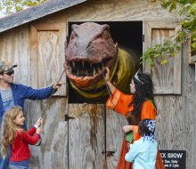 Beware of P. Rex, the Pumpkin-Eating Dino! Photo courtesy of Great Country Farms