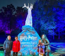 Harry Potter: A Forbidden Forest Experience is a magical adventure for all. 