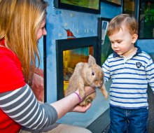 You'll feel warm and fuzzy after all these fun things to do with preschoolers in Connecticut! Photo courtesy of the Lutz Children's Museum