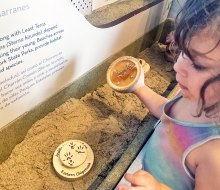 Jones Beach Energy and Nature Center's interactive exhibits are free.