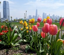 Enjoy the beauty and views at Liberty State Park, which offers a lovely destination in all seasons. Photo courtesy of the Park