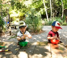 Free activities for kids in Chicago include the Lincoln Park Zoo, which is always free. Photo courtesy of the museum via Facebook