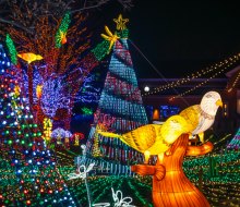 The zoo is all aglow! Lincoln Park Zoo Lights photo by Brandon Tucker, courtesy of the zoo.