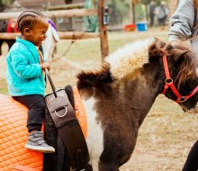 Pony rides always bring out smiles at Linvilla Orchards. Photo courtesy of the orchard