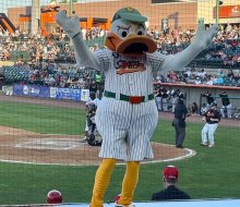 QuackerJack brings tons of fun and entertainment to the crowd at a Long Island Ducks game. 