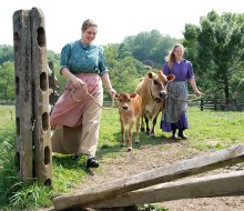 Visit the happy, free-range happy animals at Historic Longstreet Farm.